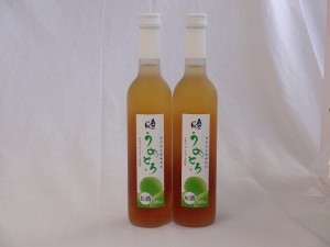 完熟梅の味わいと日本酒のうまみをたっぷりの梅リキュール 500ml×2本