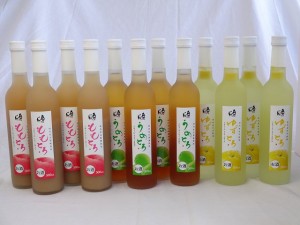 トロリとしたとろとろセット12本 (うめとろ×4本 ももとろ×4本 ゆずとろ×4本) 500ml×12本 