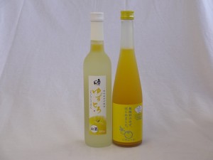 ゆず好きセット2本 (ゆずとろ ゆず梅酒) 500ml×2本 