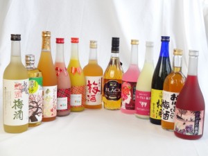 セレクション梅酒12本セット(ミルクたっぷりいちごの梅酒 マンゴーの梅酒 ヨーグルト梅酒 ローズ梅酒ほか)720ml×12本