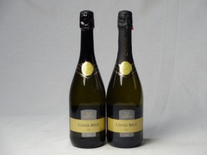 ワインセット スパークリングワイン辛口2本セット カペッタ・バレリーナ・ブリュット750ml 辛口（イタリア・白）×2本