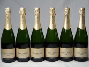 ワインセット スパークリングワイン辛口6本セット ハウメ・セラ ブリュット スペインスパークリングワイン750ml×6本