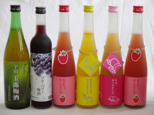 果実リキュール6本セット 紀州産 南高梅使用ブルーベリー梅酒 500ml（和歌山）・北川本家 はんなり梅酒 宇治玉露梅酒 720ｍｌ(京都）・篠