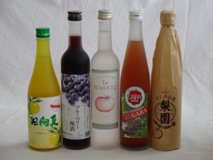 果実リキュール5本セット 紀州産 南高梅使用ブルーベリー梅酒 500ml（和歌山）・高千穂酒造 宮崎産日向夏みかん使用 日向夏