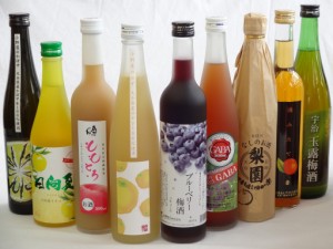 果実リキュール9本セット 紀州産 南高梅使用ブルーベリー梅酒 500ml（和歌山）・高千穂酒造 宮崎産日向夏みかん使用 日向夏