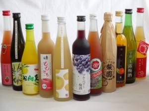 果実リキュール11本セット 紀州産 南高梅使用ブルーベリー梅酒 500ml（和歌山）・高千穂酒造 宮崎産日向夏みかん使用 日向夏