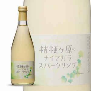 シャンモリ桔梗ヶ原のナイアガラスパークリング500ml　盛田甲州ワイナリー 