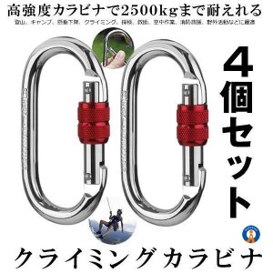 2セット 登山用 カラビナ 25KN 2個セット×2 クライミングカラビナ ハードスチール 登山用具 2-KARABI25