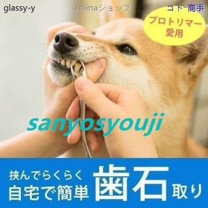 愛犬・愛猫用 歯石取り ペンチ 犬 歯石 デンタルケア ホームケア 猫 プロも愛用