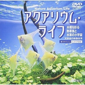 【取寄商品】DVD/趣味教養/アクアリウム・ライフ/水槽を彩る熱帯魚と水草の小宇宙 〜天野尚