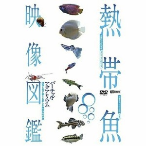 【取寄商品】DVD/趣味教養/熱帯魚映像図鑑 バーチャル・アクアリウム 映像と音で愉しむ美し