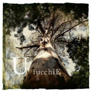 CD / fucchiE / U