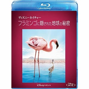 BD/ドキュメンタリー/ディズニーネイチャー/フラミンゴに隠された地球の秘密(Blu-ray)