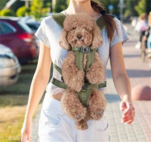 胸元リュック ペットバッグループ式 犬のショルダーバッグ 外出に便利な携帯バッグ 携帯ケース ベビー　バッグを背負う ペット携帯バッグ