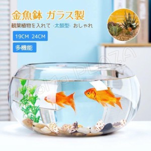 19cm 24cm 金魚鉢 ガラス製 透明 丸 鉢 和風 可愛い ミニ水槽 おしゃれ 多機能 観葉植物を入れて 万能ガラス容器 大容量 金魚 ベタ メダ