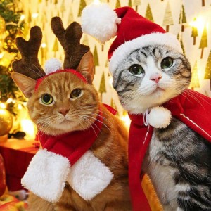 ペット服 クリスマス 仮装ペット服 2点セット 猫 犬 帽子 マフラー マント カチューシャ かわいい スカーフ ケープ クリスマス服 トナカ