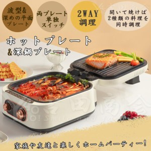 ホットプレート グリル鍋 焼肉 健康料理 両面焼き コンパクト(2枚プレート 平面プレート/深鍋プレート) 蓋付き 1600W 温度調整  結婚祝い