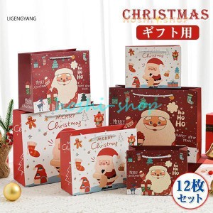 ギフト袋 紙袋 ラッピング袋 クリスマス クリスマス専用 贈り物 ギフト プレゼント 商品 お菓子 会社 学校 クラブ お客様 友達 家族 詰め