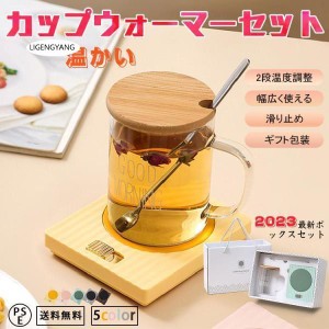 マグウォーマー カップウォーマー＆ガラスカップセット コーヒー、お茶、ワイン、清酒 保温コースター 飲み物保温 ギフト包装 バレンタイ