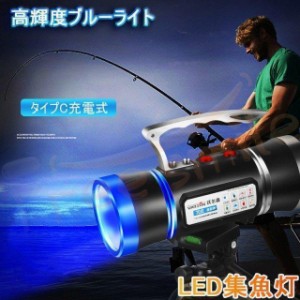 LEDライト 夜釣り 集魚灯 ブルーライト ポータブル 夜間作業 POWER LIGHT 屋外用 釣り 懐中電灯 投光器 フィッシングライト 高