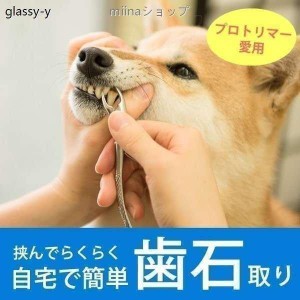 愛犬・愛猫用 歯石取り ペンチ 犬 歯石 デンタルケア ホームケア 猫 プロも愛用