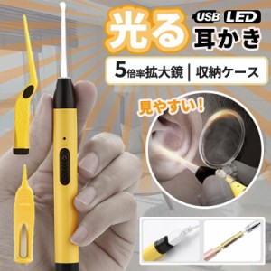 耳かき ライト 耳掻き ピンセット usb 充電式 ledライト 光る 拡大鏡 耳掃除 セット ごっそり 耳垢 細い 子供 大人 キッズ ベビー