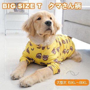 犬 服 秋 大型犬 くまさん 黄色 Tシャツ シンプル おしゃれ かわいい 夏 安い 着せやすい 超大型犬 オールシーズン