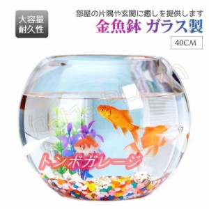 金魚鉢 ガラス製 透明 丸 鉢 和風 可愛い ミニ水槽 おしゃれ 多機能 観葉植物を入れて 万能ガラス容器 大容量 金魚 ベタ メダカ アカヒレ