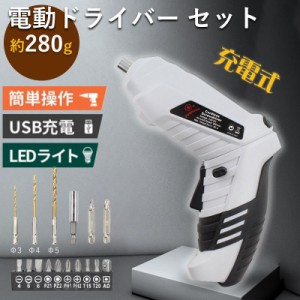 電動ドライバー 電動ドリル ドリルドライバー 16点セット USB 充電式 コードレス ドライバーセット 小型 コンパクト ミニ 軽量 電動工具 