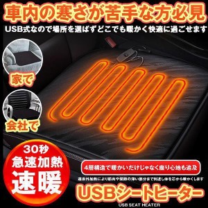 ホットカーシート カーシートヒーター ヒータークッション 極暖 速暖 車 運転席 助手席 電熱 USB 電気マット