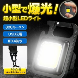 LED投光器 ミニライト 充電式 LEDライト COB USB 作業 小型 アウトドア キャンプ 散歩用 照明 軽量 ランタン ワーク 防災 懐中電灯