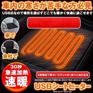 【激安 新店開き期間限定セール】2個セット ホットカーシート カーシートヒーター ヒータークッション 極暖 速暖 車 運転席 助手席 USB 