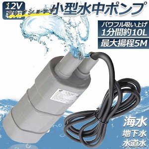 水中ポンプ12v 海水 小型 水道水 地下水 排水ポンプ 循環ポンプ 汲み上げ 水ポンプ 給水ポンプ 家庭用 散水ポンプ ポンプ 流量 600L / H 