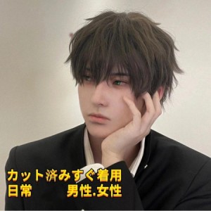 高質フルウィッグ メンズ イケメン男性 男装 コスプレ かつら メンズ ショート ロング 前髪長いサイド長い 自然 カツラ レディースでも可