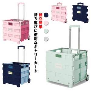 キャンプ用 耐荷重40kg カート ショッピングカート キャリーカート コンテナキャリー 台車 折りたたみキャリーカート 釣り 耐荷重40kg ア