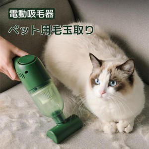 ペット毛玉取り ペット用電動吸毛器 毛掃除機 猫 犬 電動吸毛器 家庭用 ベッド カーペット 自動車用 毛取り お手入れ ホコリ/抜け毛/砂 