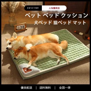 ペット ベッド クッション 犬ベッド 猫ベッド マット 洗える カバー 枕付き 大型犬 小型犬 シニア犬 春 夏 秋 冬 いぬ ねこ ひんやり ふ