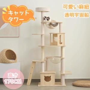 【1日限定/5%OFFクーポン】キャットタワー 透明宇宙船 階段 頑丈 安定感 据え置き 多頭飼い 猫ハウス おしゃれ ポンポンおもちゃ タワー 