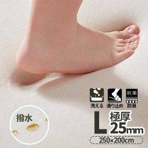 【毎月1日限定★全品5%OFFクーポン】ラグ 低反発 はっ水 ラグマット 極厚25mm 抗菌防臭 200×250cm カーペット 厚手 滑り止め 洗える 角