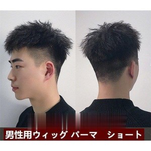 メンズウィッグ短髪 パーマ ショート ヘアピース 自然 人毛 医療用 短い 通気性 トップカバー