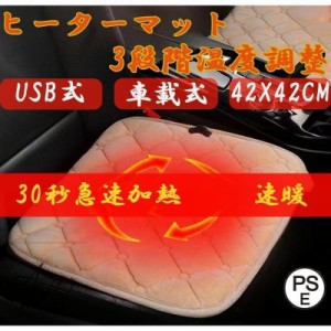 ホットマット ホットカーペット 温度調節 USB 車載用 ミニ 一人用 42×42cm 省エネ 座布 電気ホットマット 座布団 キャンプ 車内 加熱パ