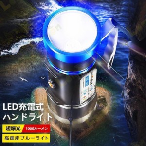 集魚灯 ブルー 青色LED 水中集魚灯 投光器 USB充電式 拡散 船 ボート 残量表示 防水 小型 船舶 ブルーライト LED集魚灯 高輝度 夜釣り 船