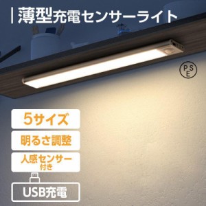 センサーライト 室内 屋外 玄関 人感 LED 充電式 明暗 人感センサー 自動点灯 明るい フットライト 足元灯 小型 クローゼット 廊下 ライ