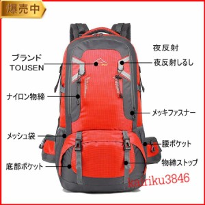 リュック 40L 60L バックパック リュックサック レディース メンズ 大容量 パック ザック 登山 旅行 防災 遠足 軽量 登山リュック