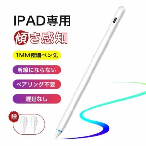 超高感度 タッチペン ipad スタイラスペン 高精度 傾き感知 タッチペン 極細 タッチペン 磁気吸着 軽量 タブレット タッチペン Type-C充