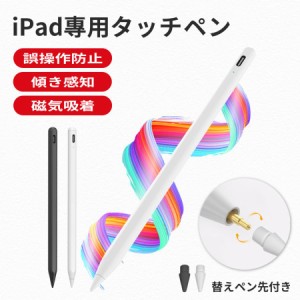 2024最新型タッチペン iPad ペンシル iPad Pencil スタイラスペン 極細 iPad Pro Air mini 超高感度 傾き感知 誤操作防止 Type-C充電