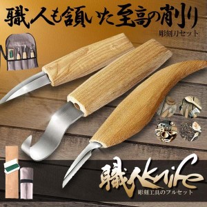 カービングナイフ セット 彫刻刀 木工 木彫り フックナイフ ブレード研ぐ 彫刻 伝統工芸 工具 個人趣味 初心者  KNIKABIDIY