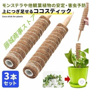 ココスティック セット モンステラ 支柱 観葉植物 おしゃれ プランター 植木鉢 植物 園芸支柱 観葉支柱 ガーデニング ココスティック支柱