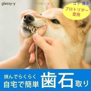 愛犬・愛猫用 歯石取り ペンチ 犬 歯石 デンタルケア ホームケア 猫 プロも愛用