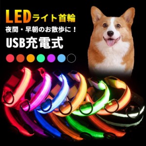 首輪 犬 猫 光る led 光る首輪 おしゃれ 痛くない かわいい 可愛い 柔らかい キラキラ ライト 夜間 散歩 安全 苦しくない ledライト USB